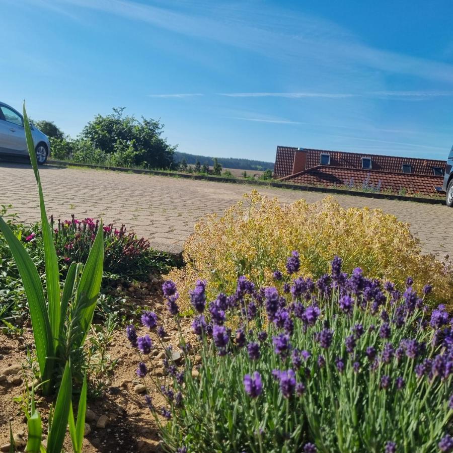 Mueritz-Pension Waren Экстерьер фото